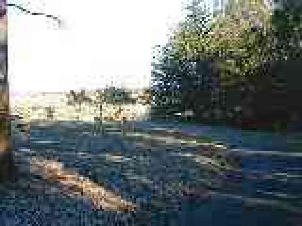 Skirting the picnic area