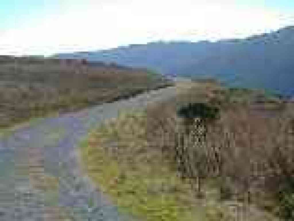 Saddle Loop Trail