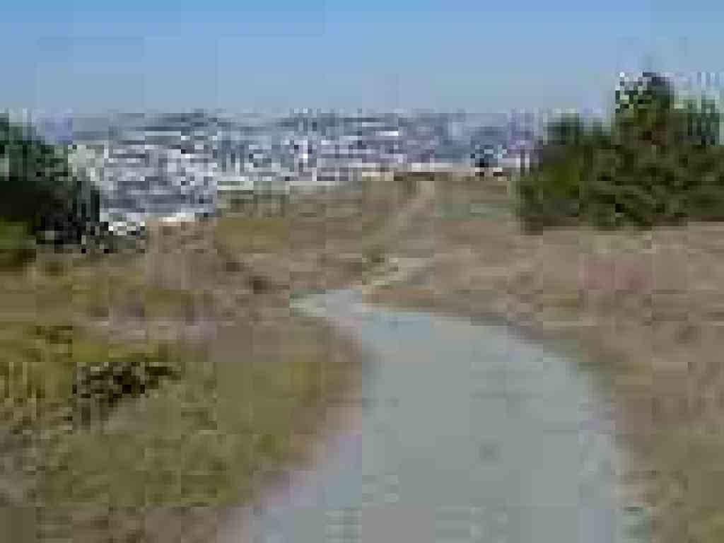 Mount Tam visible to the north