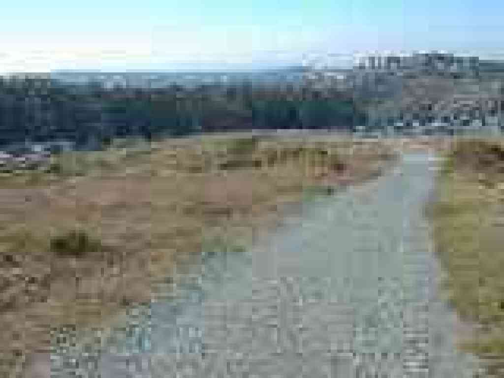 Near the west border