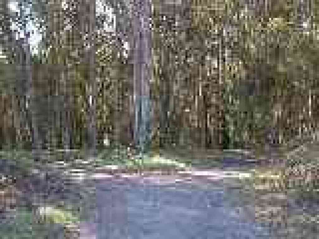 Junction