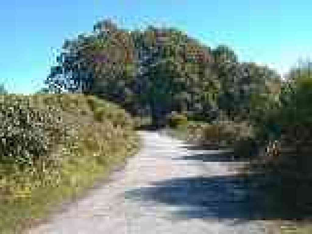 Old Guadalupe Trail