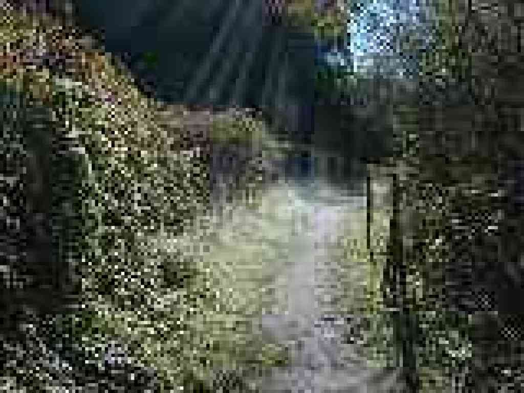 Mist