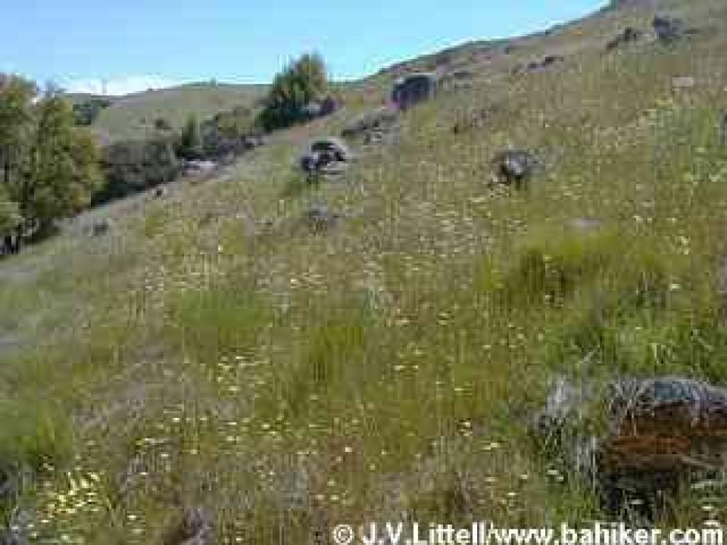 Tidytips photo